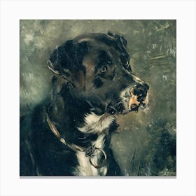 Dogs 345 2 Canvas Print