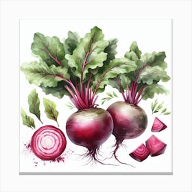 Beetroot 3 Canvas Print