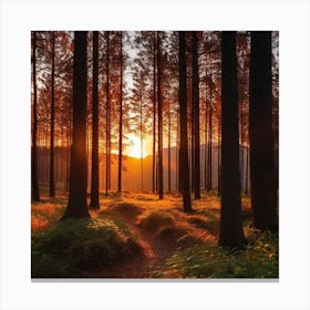Sunset In The Forest 10 Canvas Print