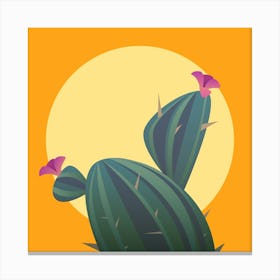 Cactus Canvas Print