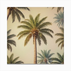 Palm Trees Canvas Print