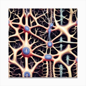 Neuronal Structure Canvas Print