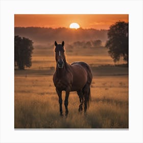 Sunset Horse 1 Canvas Print