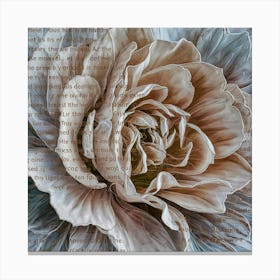 Peony 2 Canvas Print