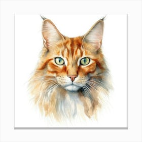 Somali Cat Portrait Canvas Print