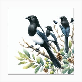 Magpies 3 Canvas Print