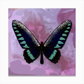 Mechanical Butterfly The Palawan Birdwing Techno Trogonoptera Trojana Pink Canvas Print