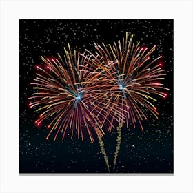 Fireworks In The Sky 1 Canvas Print