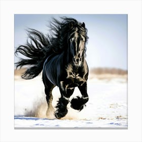 Wild Friesian - Black Horse Freedom Canvas Print