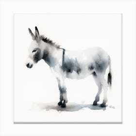 Donkey Canvas Print