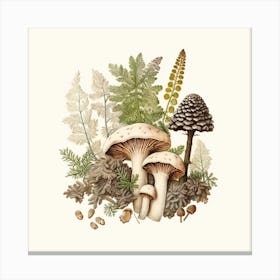 Pine cone mushroom - mushroom art print - mushroom botanical print Canvas Print
