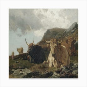 Highland Cattle Canvas Print