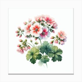 Flower of Geranium 2 Canvas Print