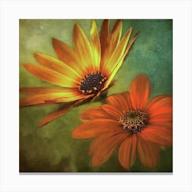 Two Daisies Canvas Print