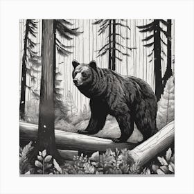 Bear In The Woods 11 Canvas Print