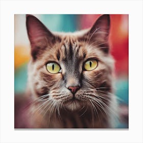 Portrait Of A Cat Canvas Print