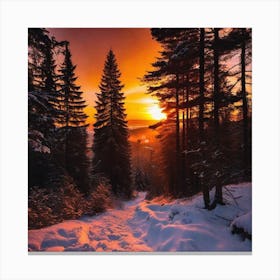 Sunset In The Forest 14 Canvas Print