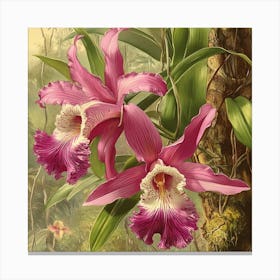 Orchids Art Canvas Print