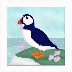 Cute Puffin By The Sea Square Canvas Print