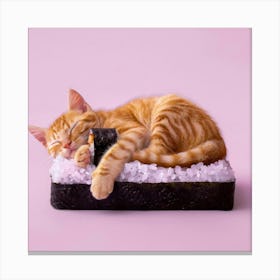 Cat Sleeping On Sushi 3 Canvas Print