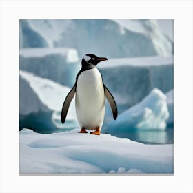 Antarctic King Penguin Canvas Print