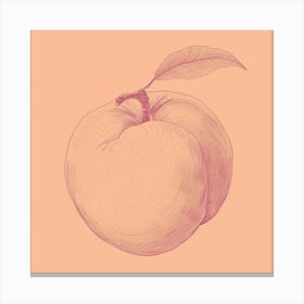 Peach 1 Canvas Print