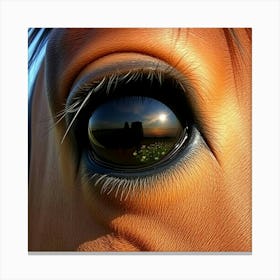 Horse'S Eye 7 Canvas Print