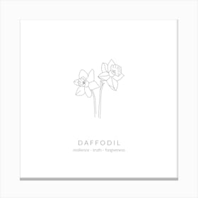 Daffodil Birth Flower Square Canvas Print