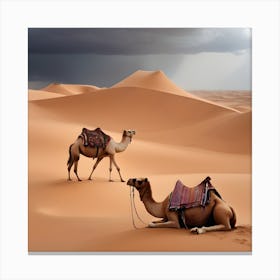 Camels In The Desert Canvas Print