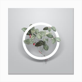 Vintage American Wintergreen Plant Minimalist Flower Geometric Circle on Soft Gray n.0340 Canvas Print