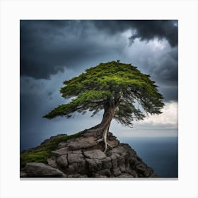 Lone Tree On A Rock, A Lone Tree Standing Strong On A Cliff Edge Against A Stormy Sky Representing The Courage Canvas Print