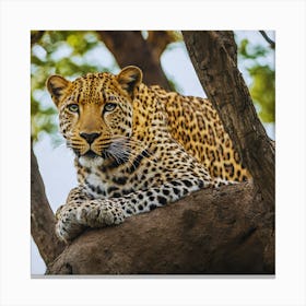 Leopard Sitting In Tree Canvas Print