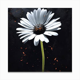 Daisy Canvas Print