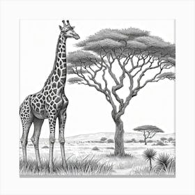 Line Art giraffe Canvas Print