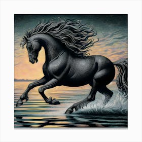 Black Horse At Sunset Canvas Print