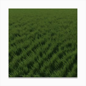Field Of Wheat 1 Canvas Print