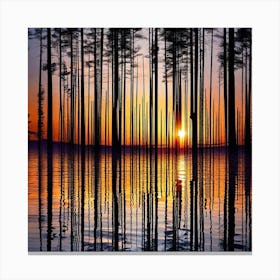 Sunset In The Forest 25 Canvas Print