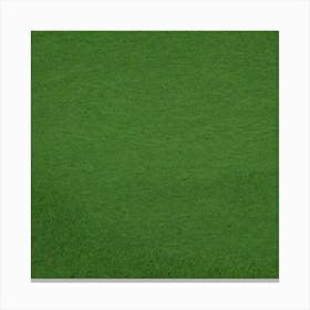 Green Grass Background 19 Canvas Print