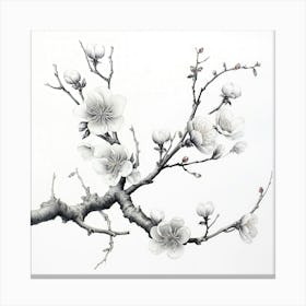 Ink Cherry Blossoms Branches 12 Canvas Print