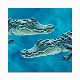 Alligators Canvas Print