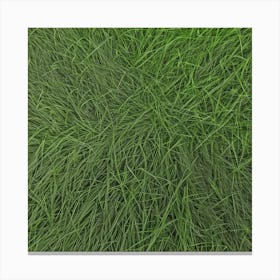 Grass Background 23 Canvas Print