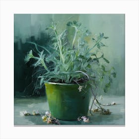 Green Plant In A Pot Canvas Print