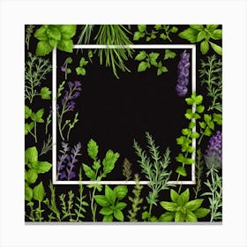 Frame With Herbs On Black Background 2 Canvas Print