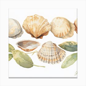 Watercolor Sea Shells 1 Canvas Print