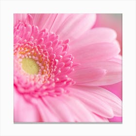 Floral gerbera daisy in pink - square flower nature and travel photography by Christa Stroo Photography Canvas Print