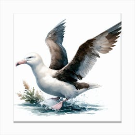 Albatross 2 Canvas Print