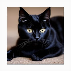 Black Cat Canvas Print