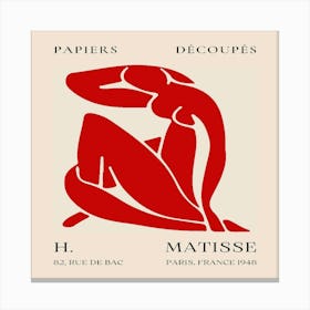 Matisse (25) Canvas Print