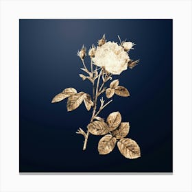 Gold Botanical White Provence Rose on Midnight Navy n.2436 Canvas Print