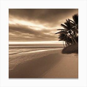 Photograph - Palm Trees On The Beach Canvas Print